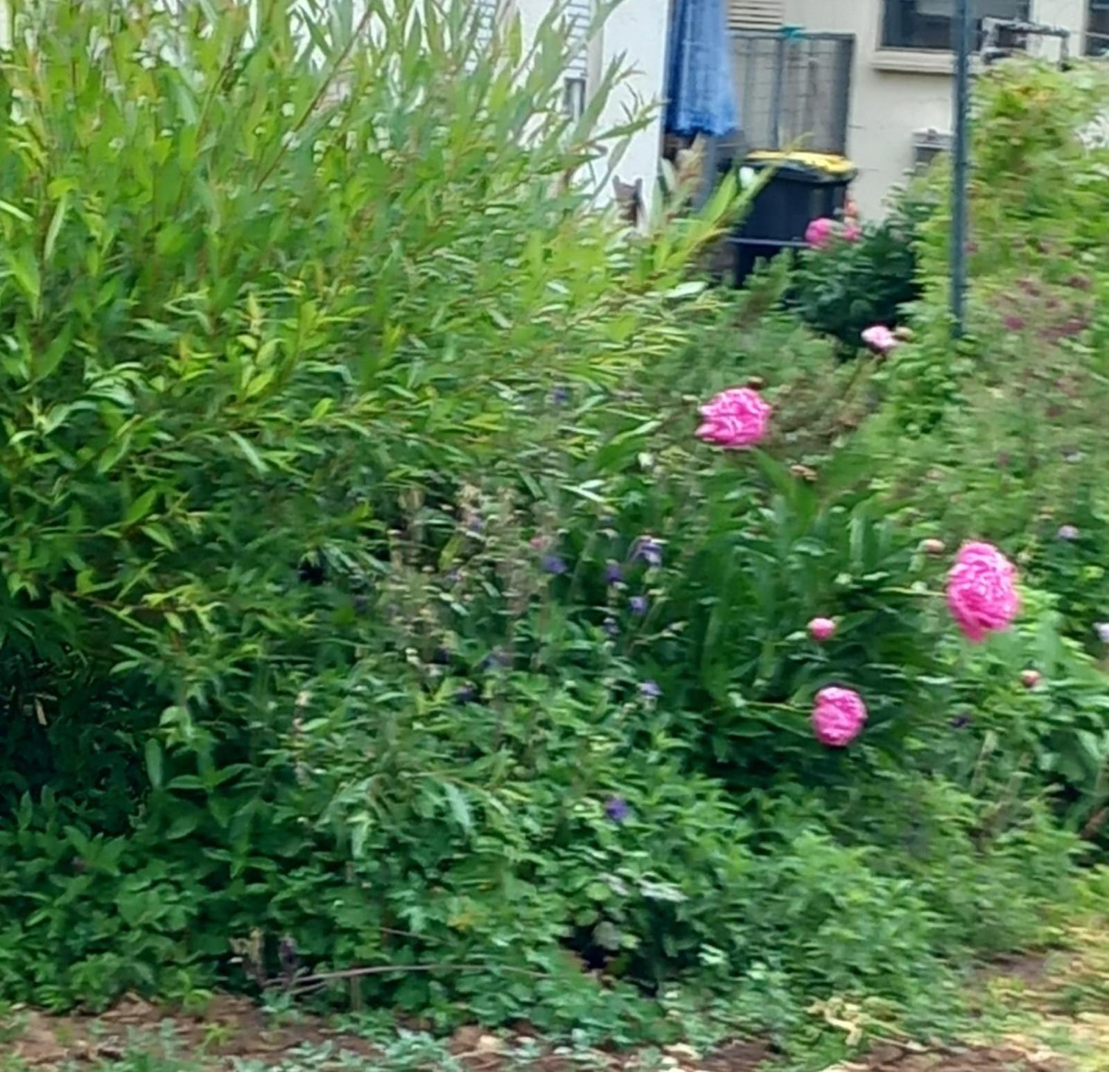 דירות Kirchheim am Neckar Aussichtsreich מראה חיצוני תמונה